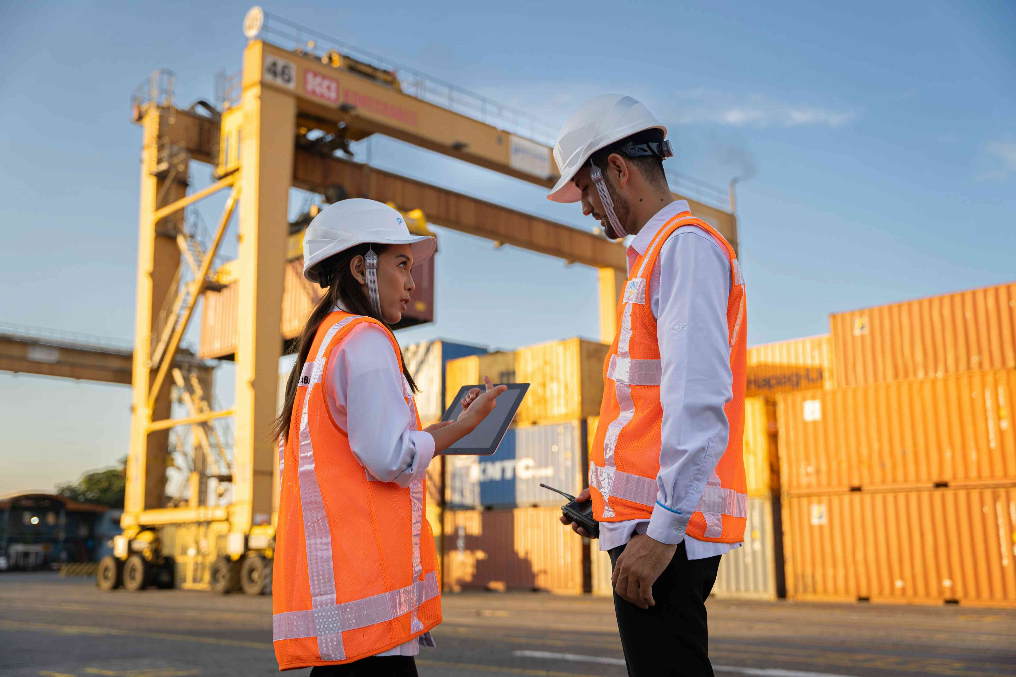 Procurement Coordination